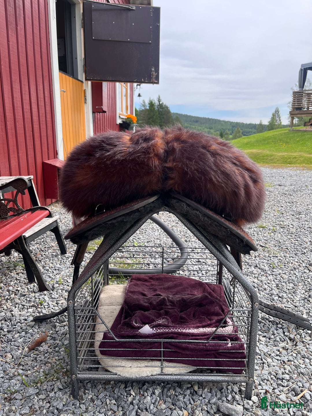 Sadlar hästutrustning till salu: vegan grandeur tomentum endurance limited edition i Umeå - Bild 6