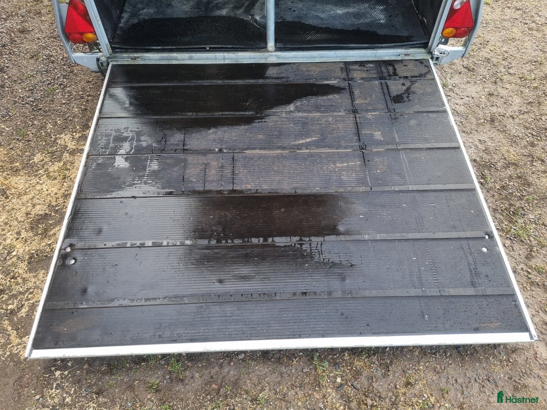 Hästtransporter  fordon & transport till salu: Cheval Liberte Gold Pullman 2 i Vreta Kloster - Annons 9