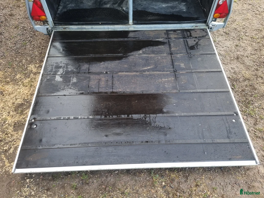 Hästtransporter  fordon & transport till salu: Cheval Liberte Gold Pullman 2 i Vreta Kloster - Annons 9