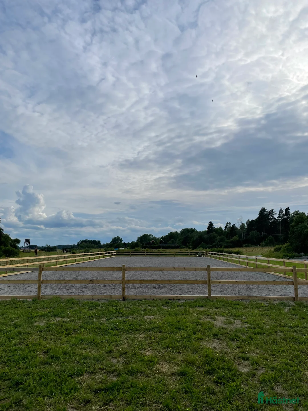  stallplats finnes: Ledig stallplats i Strängnäs  i Strängnäs - Annons 3