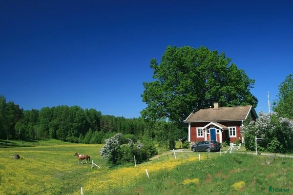  lägenhet till salu: Lägenhet på hästgård sökes - Annons 1