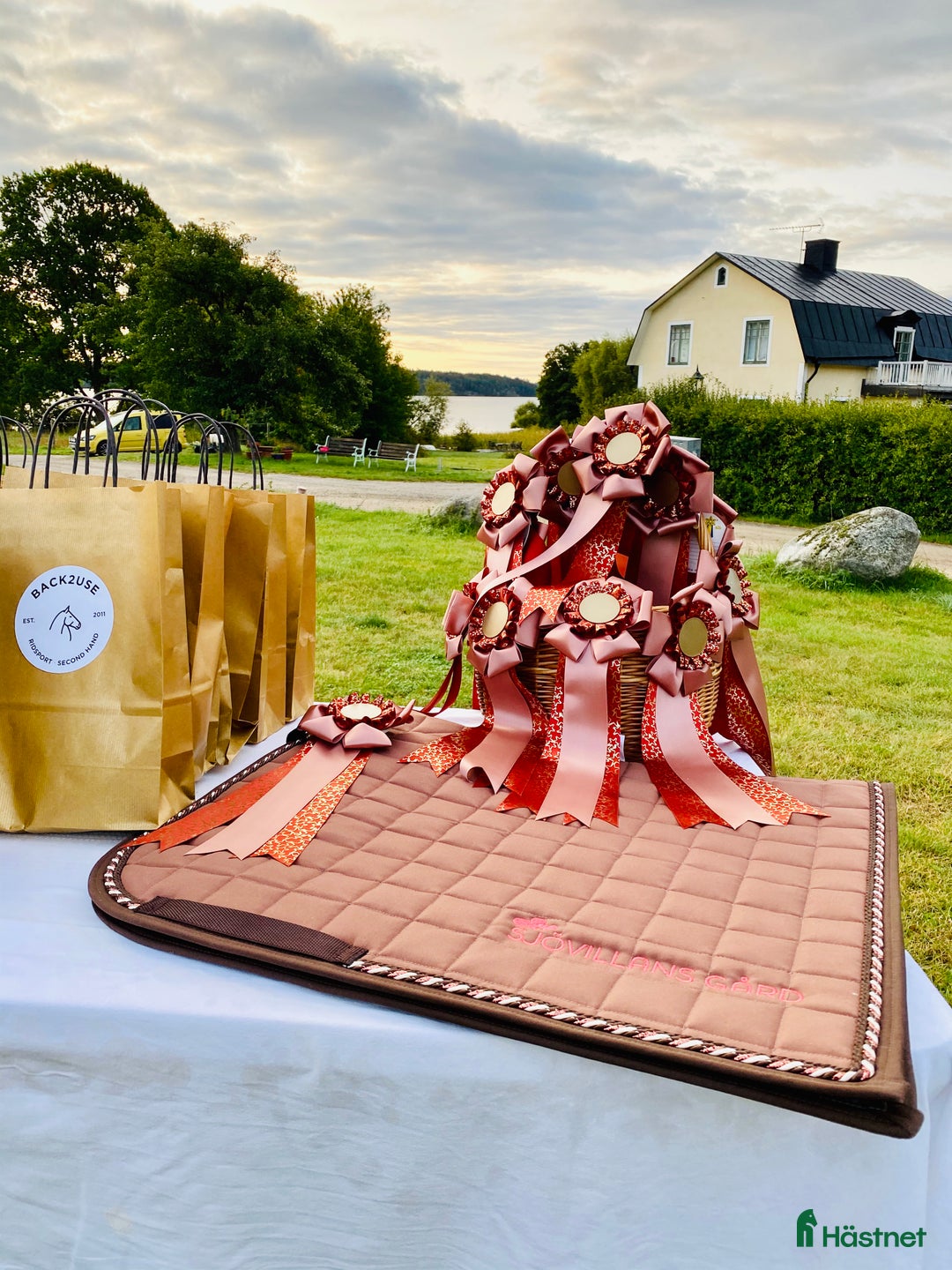  stallplats finnes: Behöver du stallplats på Ekerö?  i Skå - Annons 32