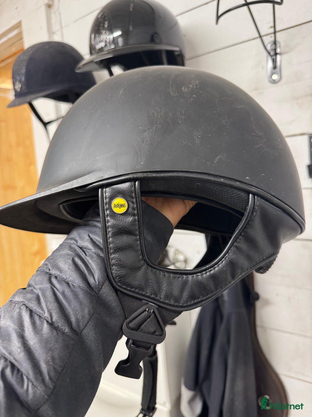 Hjälmar ryttarutrustning till salu: Back on track hjälm mips  i Ullånger - Annons 2
