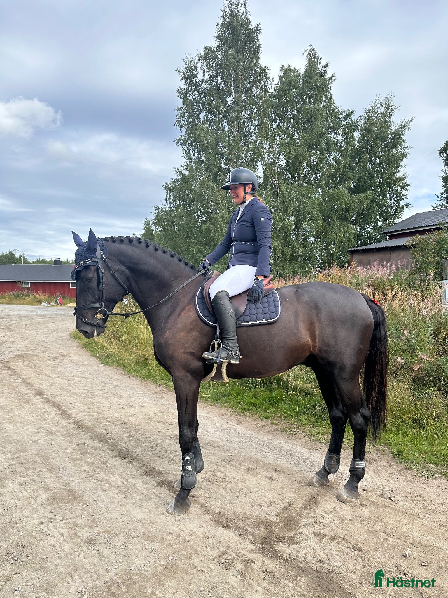  hästar Snygg och storhoppande valack med kapacitet - Annons 1