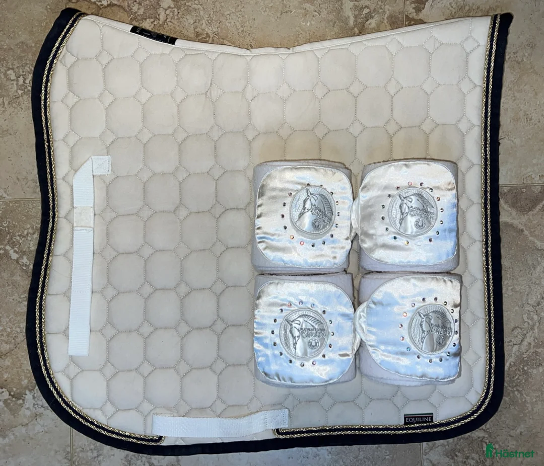 Schabrak & Vojlockar hästutrustning till salu: Equiline Octagon schabrak + lindor i Vallentuna - Annons 1