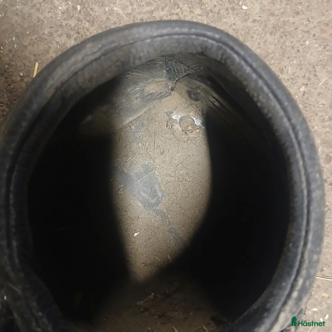 Övrig Hästutrustning hästutrustning till salu: Häst boots i Norrtälje - Annons 2