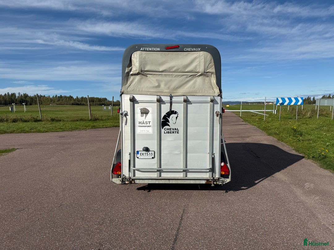 Hästtransporter  fordon & transport till salu: Cheval Gold2 -14 i Borlänge - Annons 4