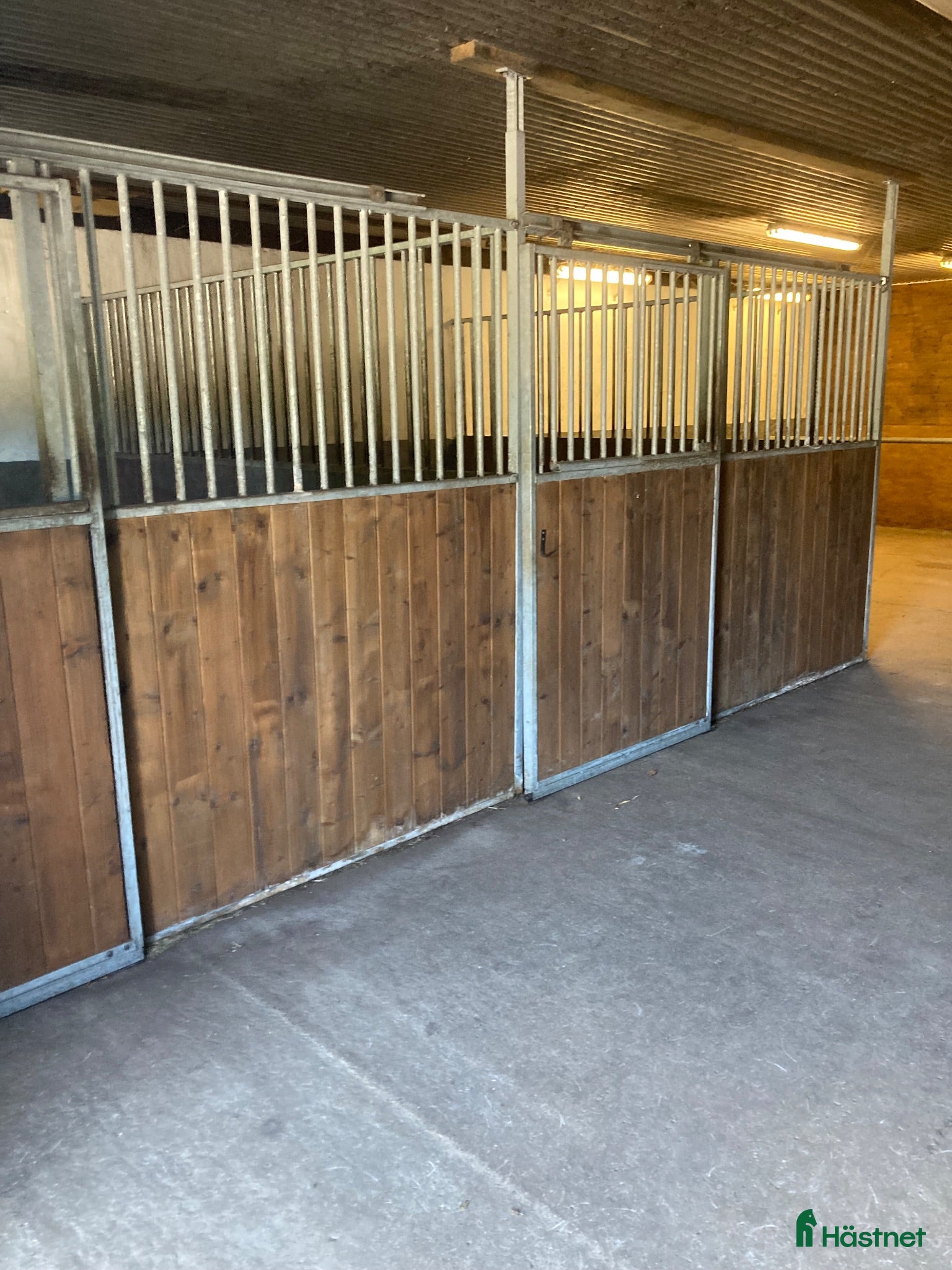  stallplats Välskött stall på Österlen uthyres. - Annons 4