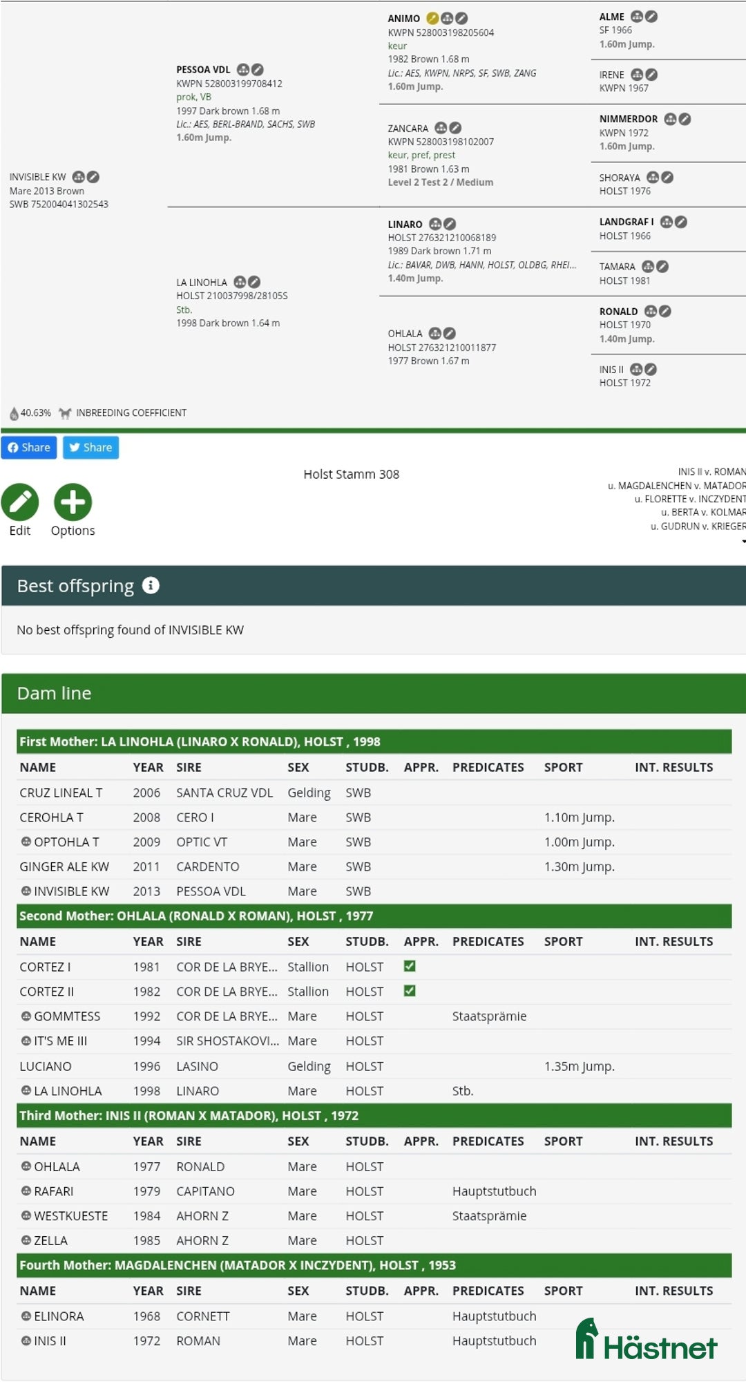 Avelshästar hästar till salu: Avelsto i Kristinehamn - Annons 2