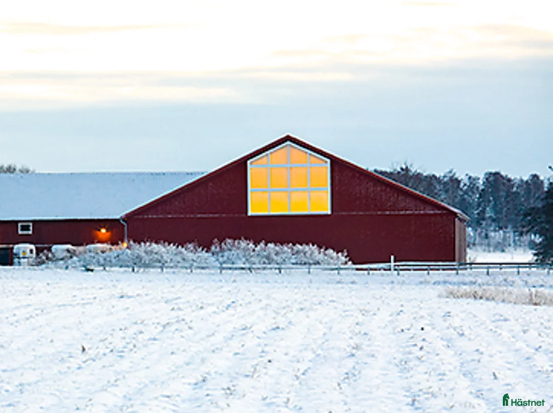  stallplats finnes: Stallplats 2 mil norr om Uppsala - Annons 2