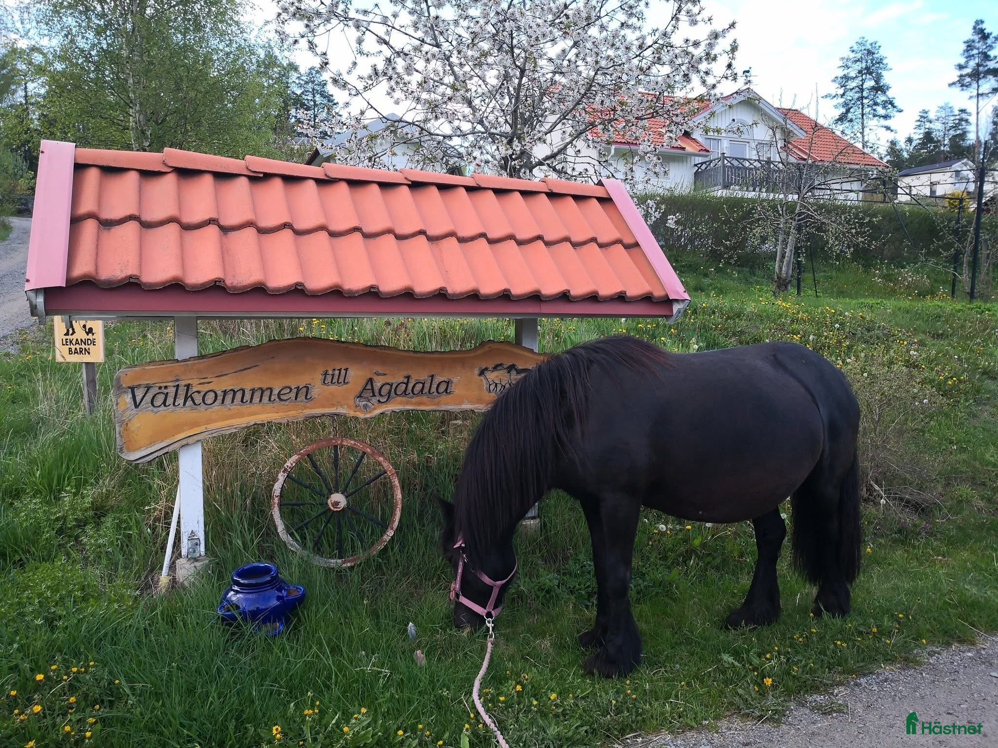  stallplats Lösdrift nära Södertälje  - Annons 1