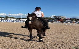 Dressyr hästar till salu: 🌟Magisk ponny söker liten dressyrryttare med ❤️ i Vaxholm - Bild 4