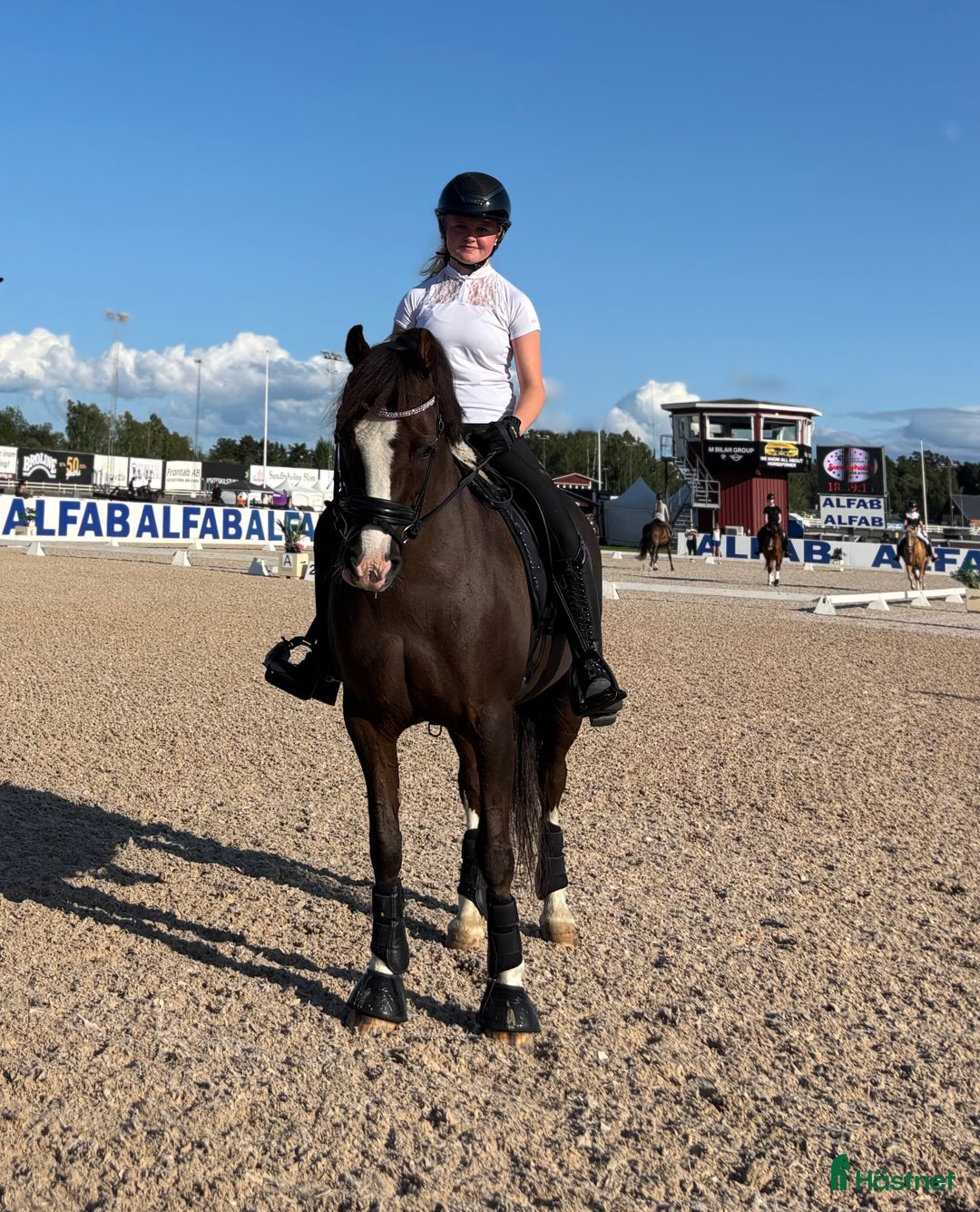 Dressyr hästar till salu: 🌟Magisk ponny söker liten dressyrryttare med ❤️ i Vaxholm - Bild 4