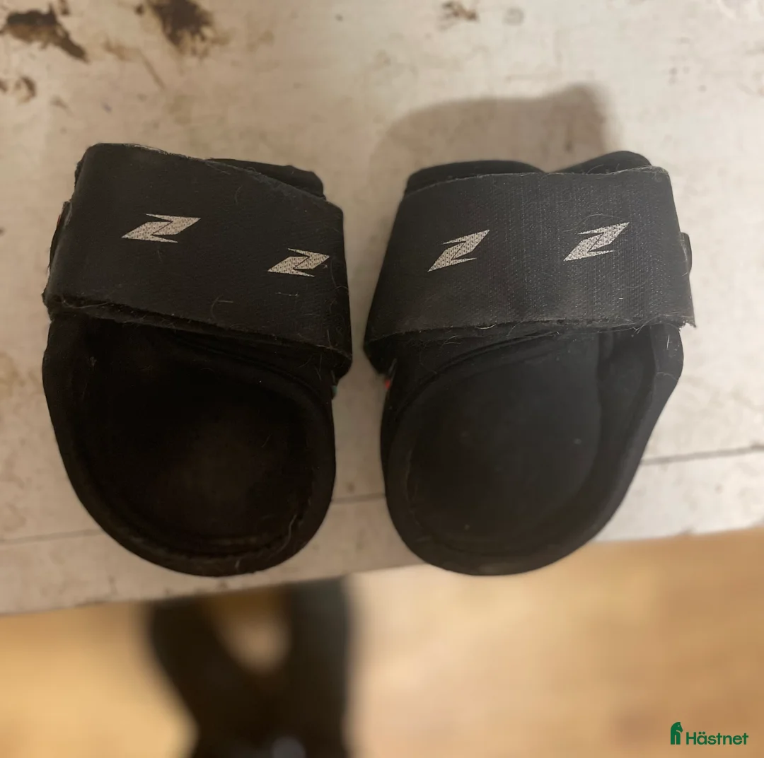 Benskydd hästutrustning till salu: Zandona benskydd i Rolfstorp - Annons 2