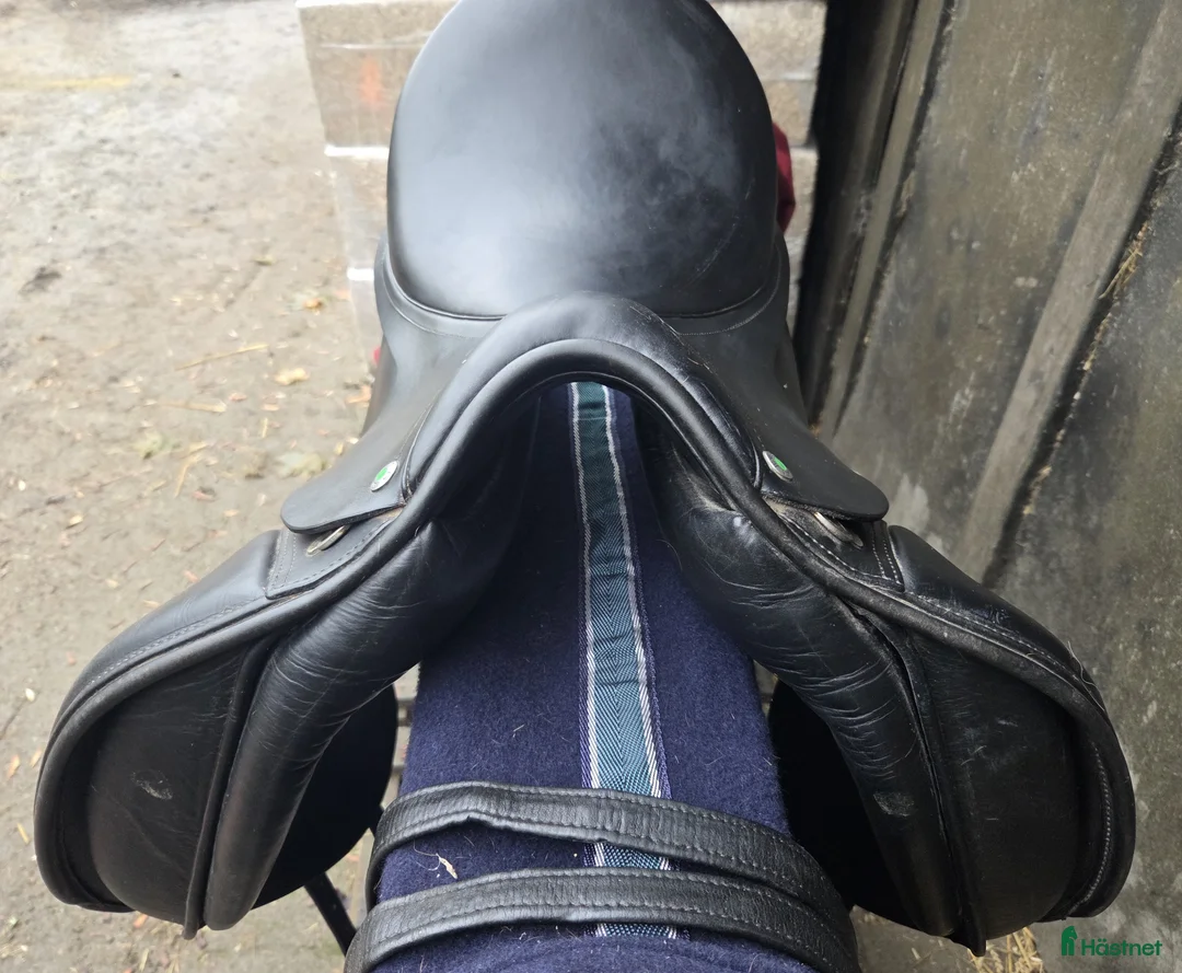 Sadlar hästutrustning till salu: Jensen Gladiateur i Oxie - Annons 2