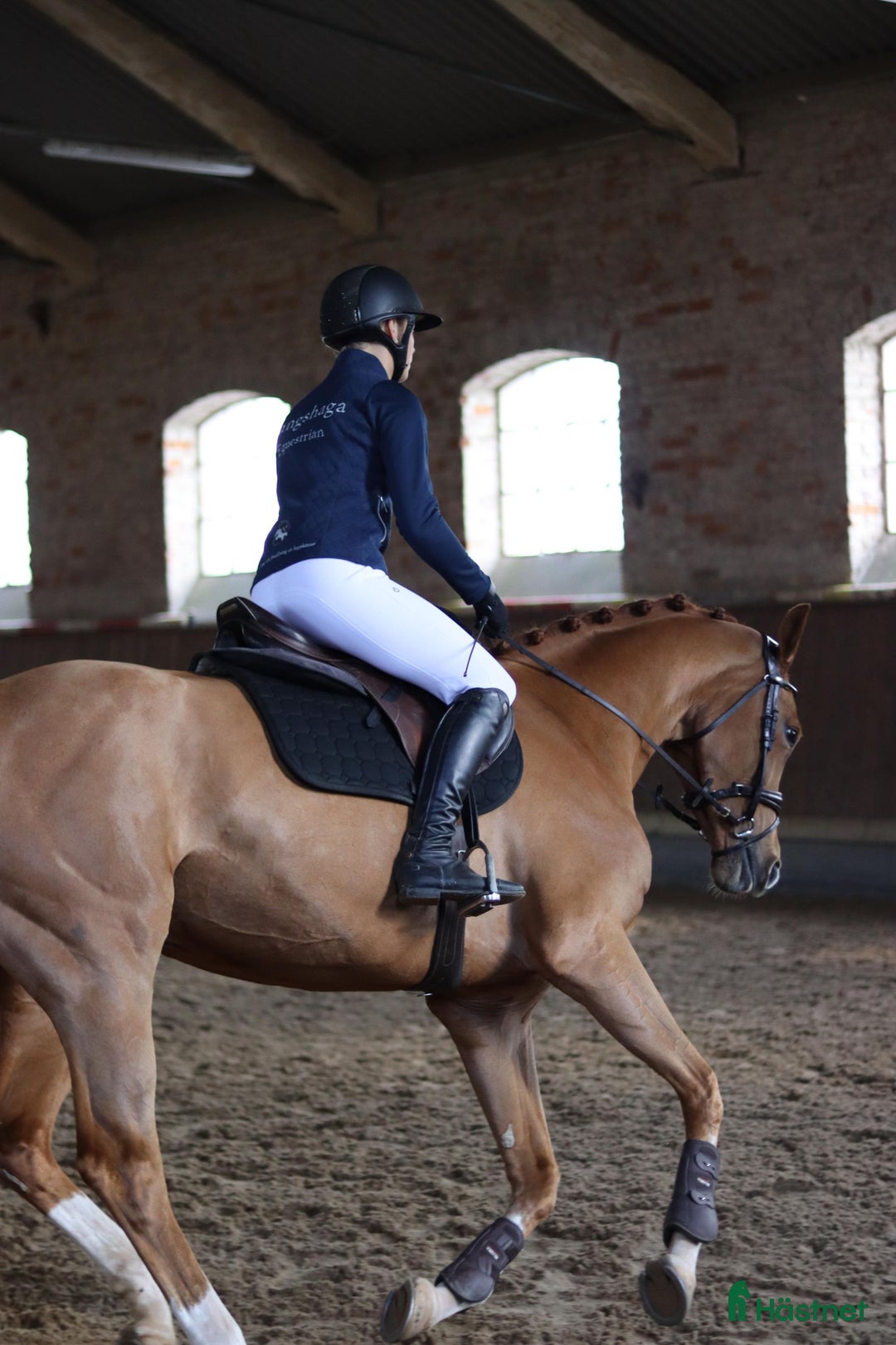  hästservice finnes: Önskar du hjälp - inridning/utbildning/försäljning i Eslöv - Annons 4