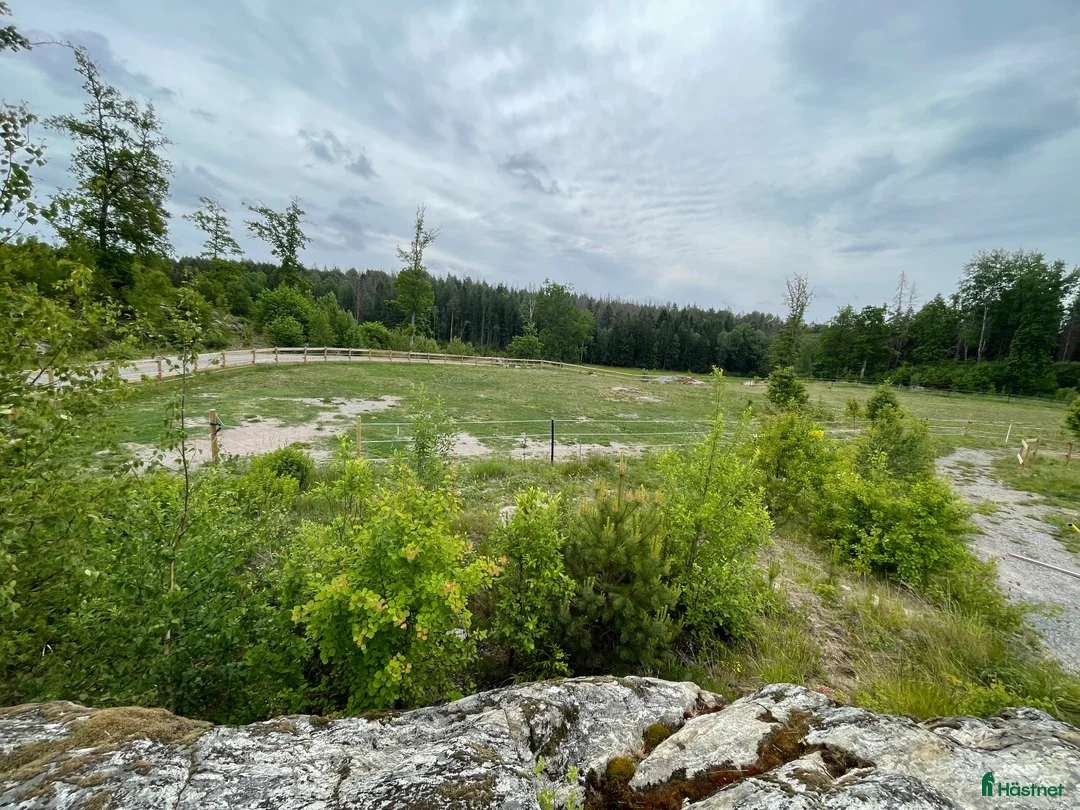  stallplats finnes: Box i nybyggt stall – Norra Sorunda - Annons 21