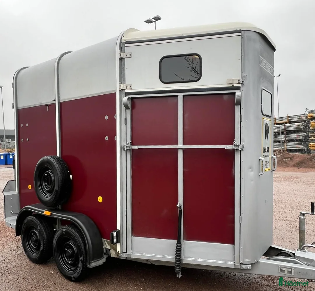 Hästtransporter  fordon & transport till salu: Ifor Williams Hb505r  - Annons 2
