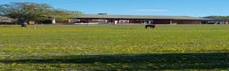  stallplats finnes: Lediga stallplatser i Trosa/Vagnhärad i Vagnhärad - Annons 5