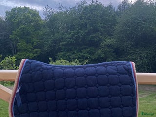 Sadeltillbehör hästutrustning till salu: Mörkblått Trinity schabrak stl ponny i Skurup - Annons 4