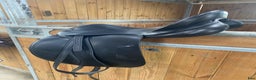 Sadlar hästutrustning till salu: Sadel Prestige Modena i Bunkeflostrand - Annons 1