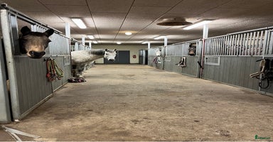  stallplats i Norrköping - Annons 6