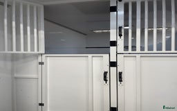 Hästlastbilar  fordon & transport till salu: UME Light3 - Stuteri! i Borlänge - Annons 6