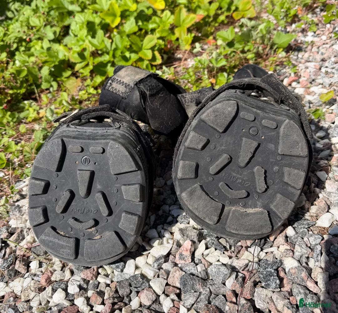 Benskydd hästutrustning till salu: Old Macs G2 hovboots - Annons 2