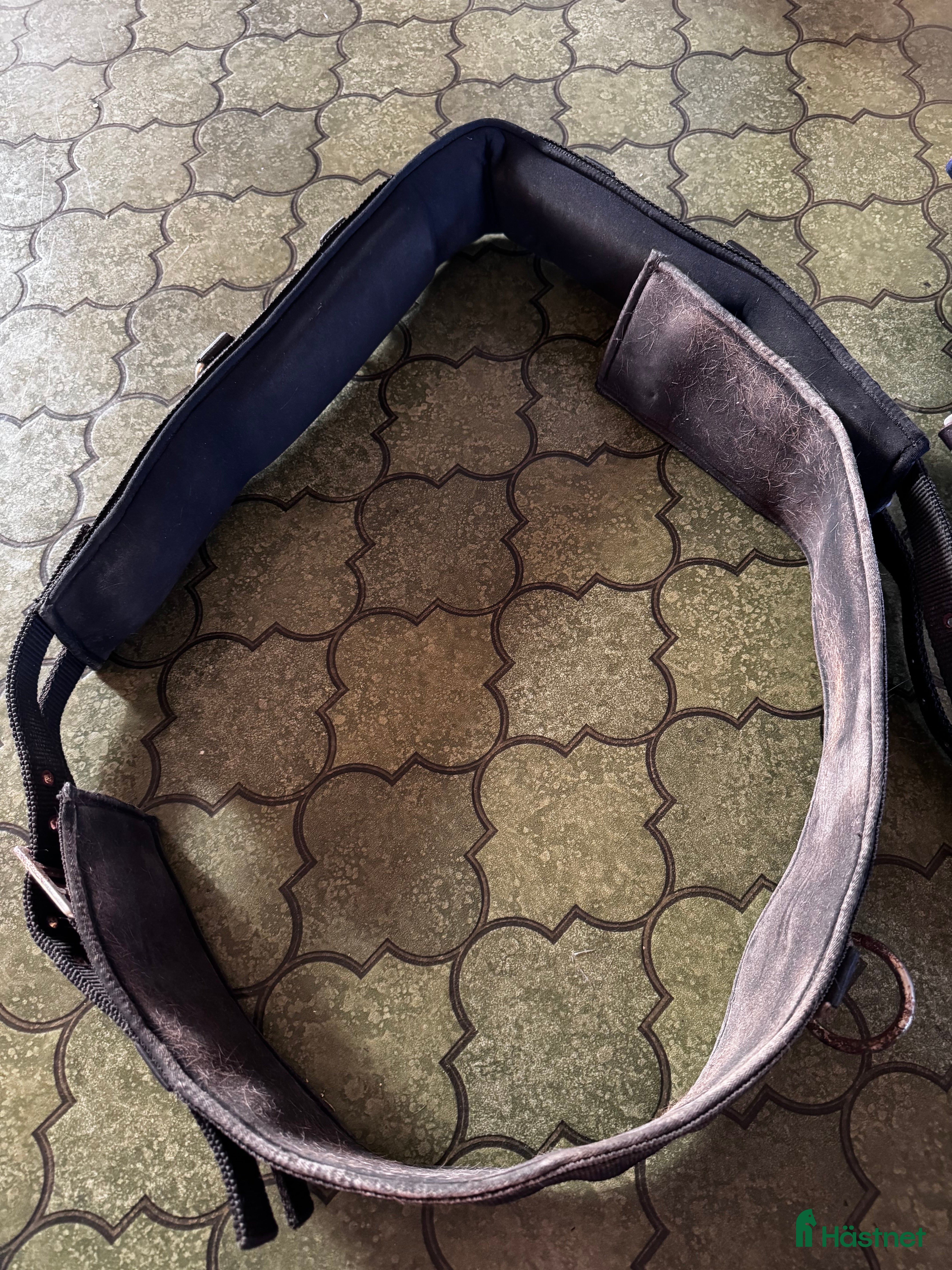 Övrig Hästutrustning hästutrustning till salu: Tomkörningsgjord  i Kalmar - Annons 19