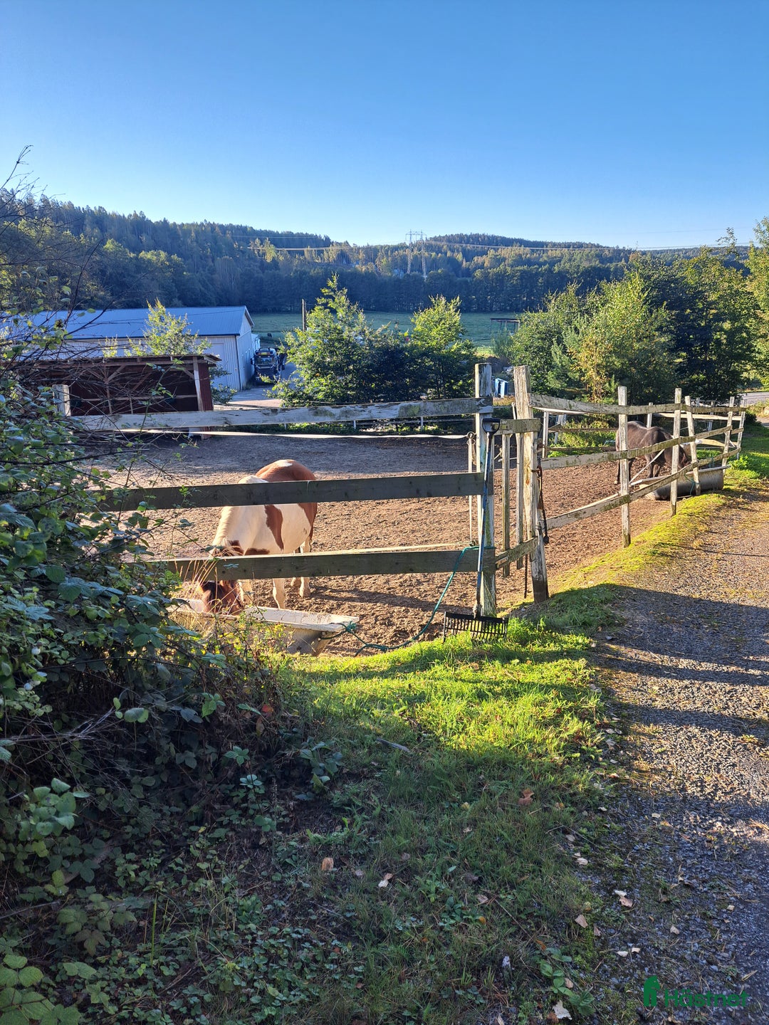  stallplats finnes: Boxplats 2 st i  Grödinge  i Grödinge - Annons 5
