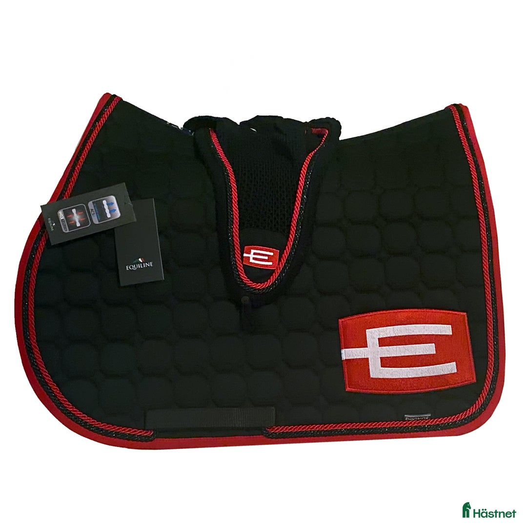 Schabrak & Vojlockar hästutrustning till salu: Söker! i Nynäshamn - Annons 3