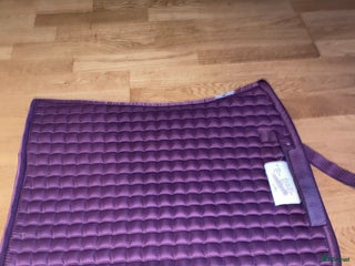 Schabrak & Vojlockar hästutrustning till salu: Dressyr schabrak i Tumba - Annons 12