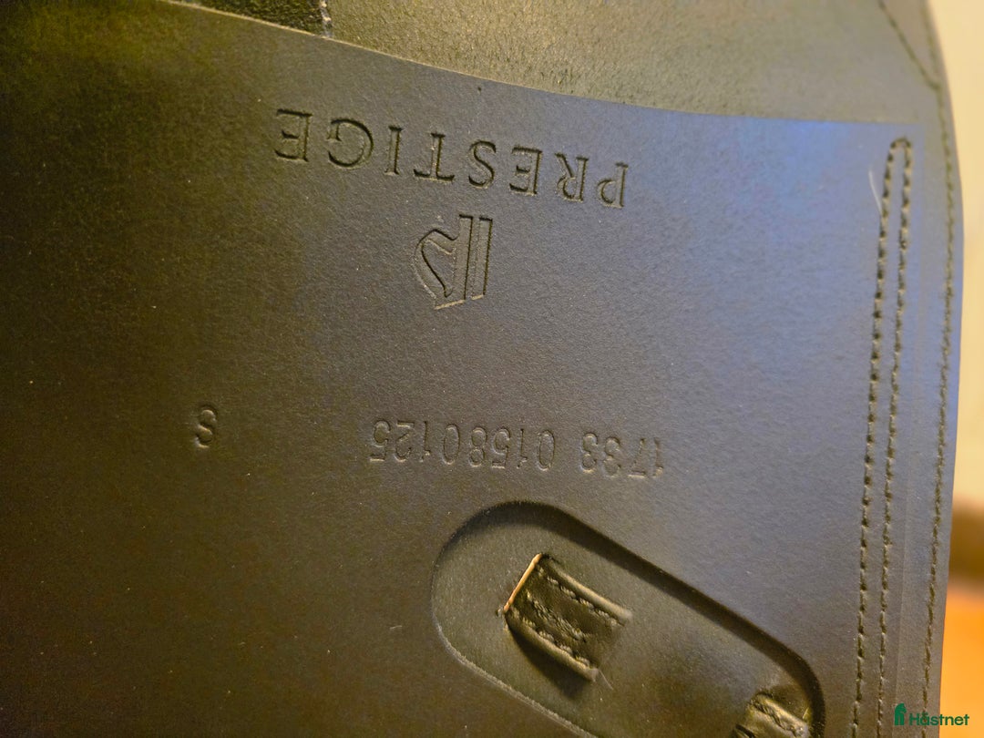 Sadlar hästutrustning till salu: Världens skönaste sadel i Vega - Annons 4