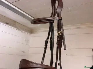 Övrig Hästutrustning hästutrustning Dyon anatomic - Annons 6