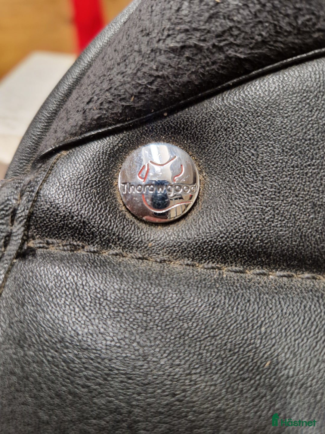 Sadlar hästutrustning till salu: Thorowgood griffin i Motala - Annons 6