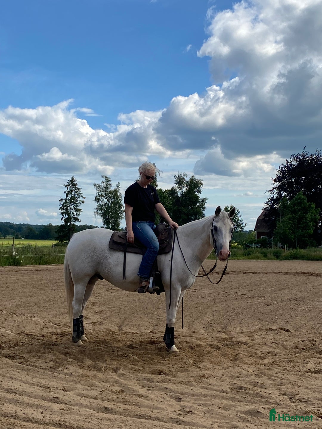 Western hästar till salu: Lovande tävlingshäst, nybesiktigad ua 18/10 i Broddetorp - Annons 6
