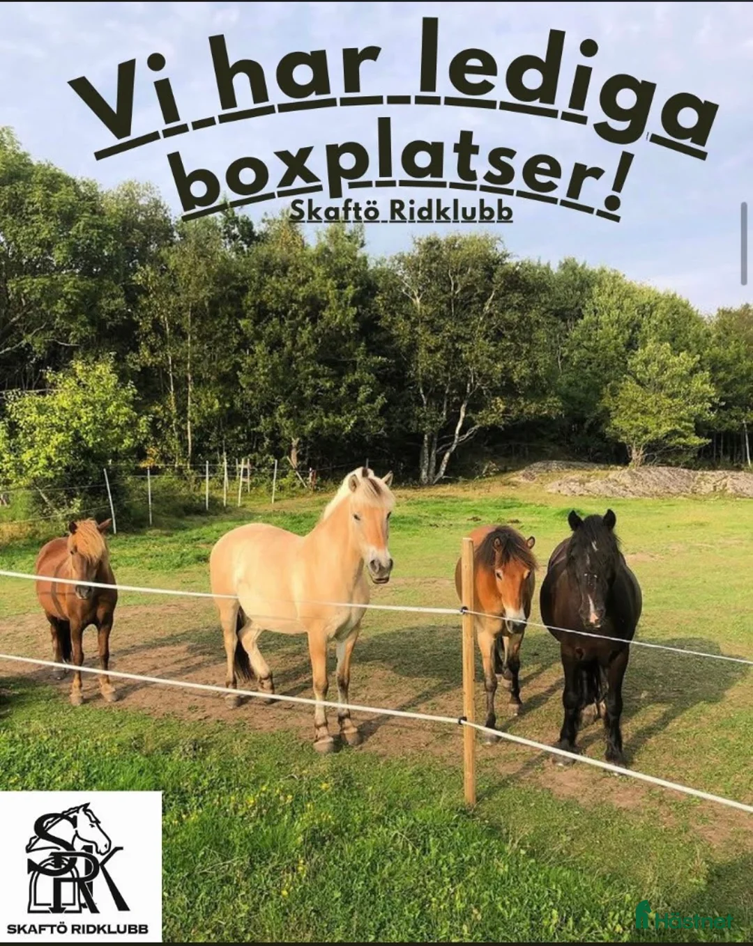  stallplats finnes: Lediga boxplatser Skaftö Ridklubb  i Fiskebäckskil - Annons 1