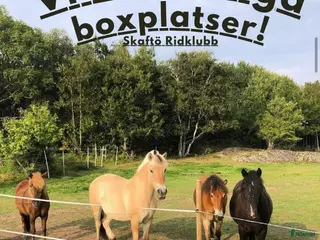 stallplats Lediga boxplatser Skaftö Ridklubb i Fiskebäckskil - Annons 24