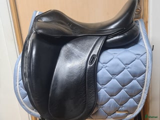 Sadlar hästutrustning till salu: Santa Cruz Platinum i Hamneda - Annons 18