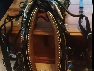 Körselar körning till salu: Loksele - Annons 1