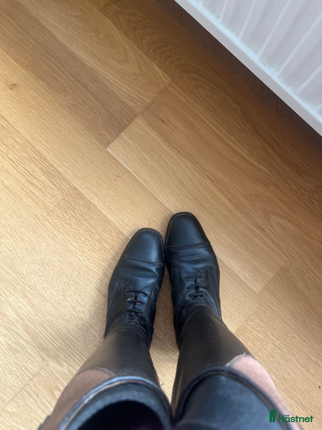 Ridstövlar ryttarutrustning till salu: Ridstövlar i Varberg - Annons 3