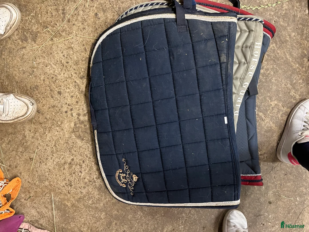 Schabrak & Vojlockar hästutrustning till salu: Schabrak  - Annons 3