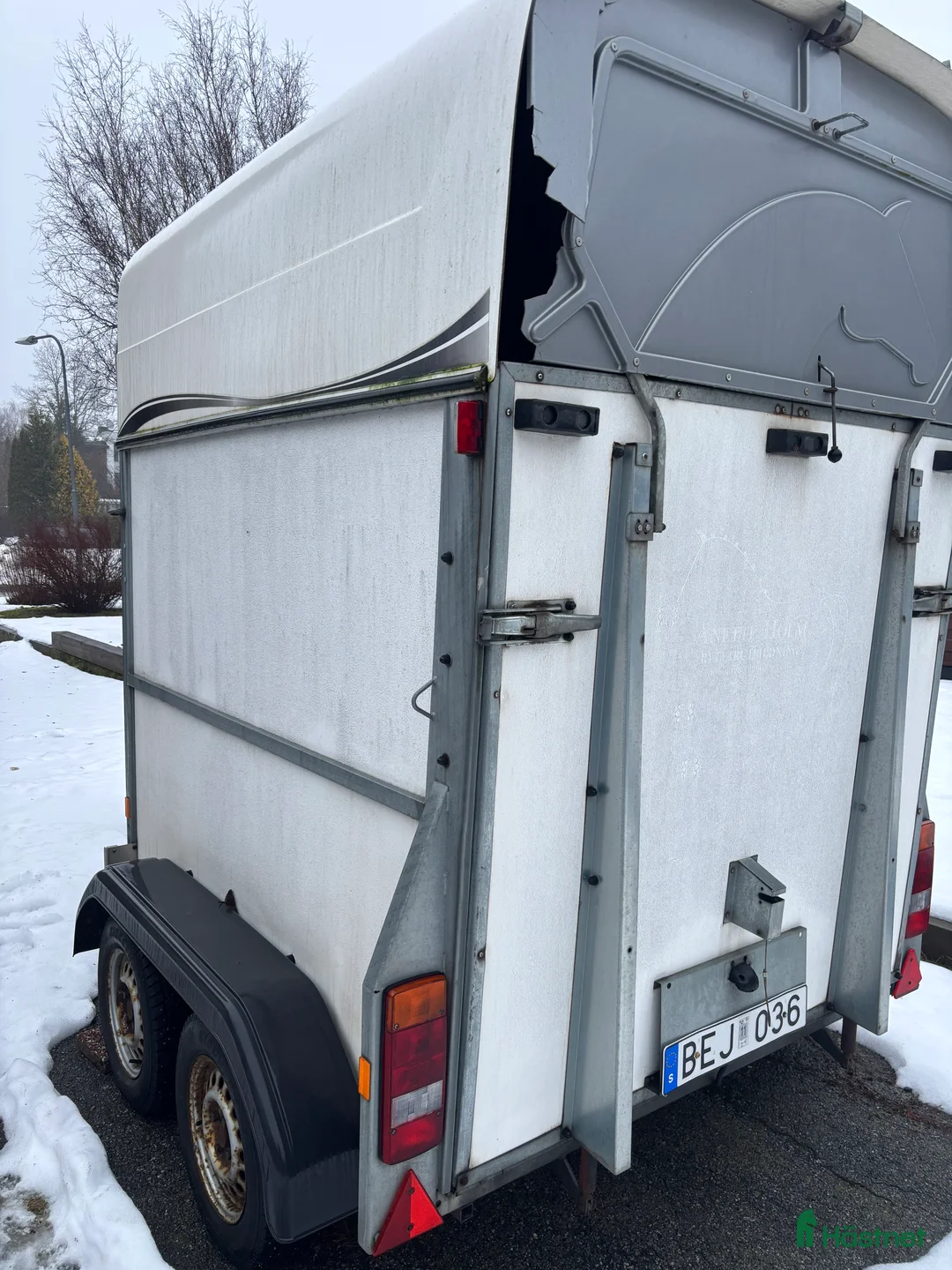 Hästtransporter  fordon & transport till salu: Hästtransport - Annons 3