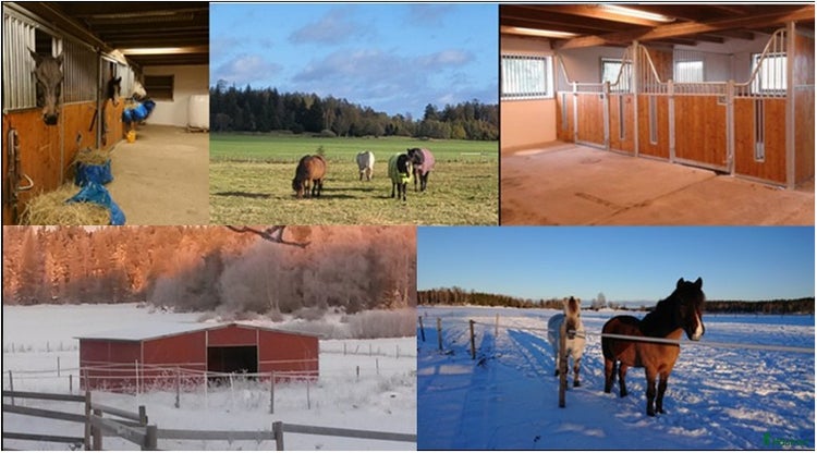 stallplats i Alunda - Annons 14