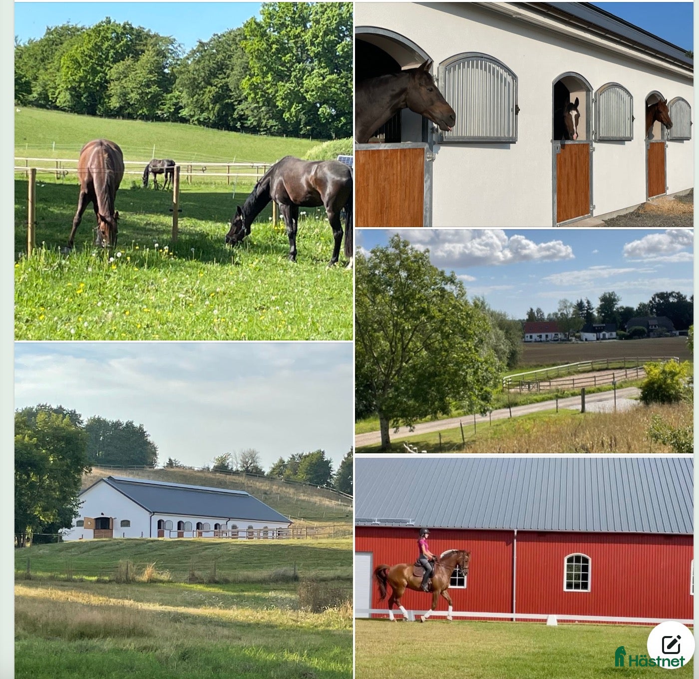  stallplats Boxplatser lediga i nybyggt stall och ridhus 2022. - Annons 1