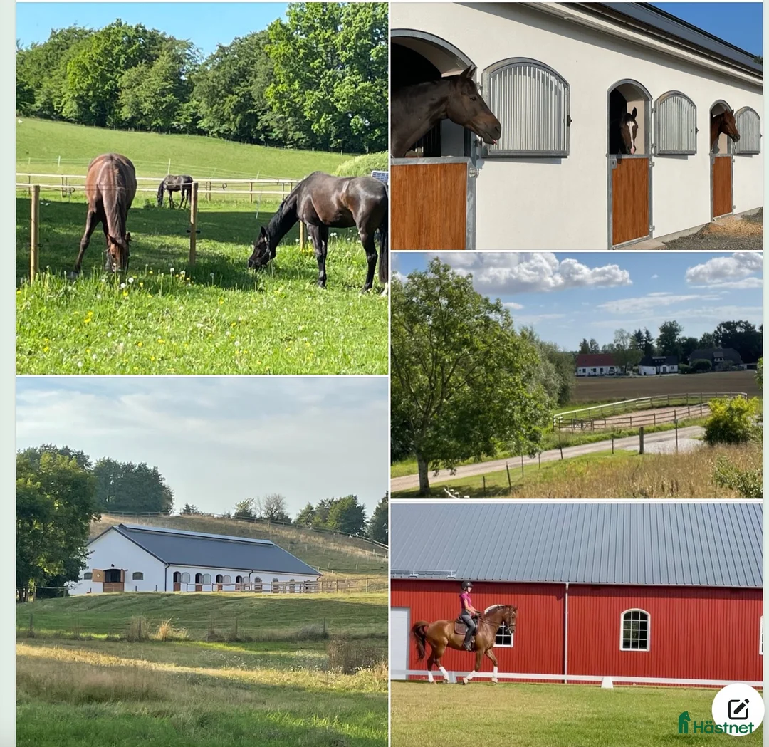  stallplats finnes: Boxplatser lediga i nybyggt stall och ridhus 2022. - Annons 1