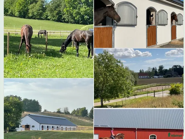 stallplats finnes: Boxplatser lediga i nybyggt stall och ridhus 2022. - Annons 1