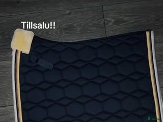 Schabrak & Vojlockar hästutrustning till salu: Shabrak, huvor och lindor i Bräcke - Annons 2