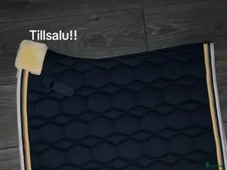 Schabrak & Vojlockar hästutrustning Shabrak, huvor och lindor - Annons 23