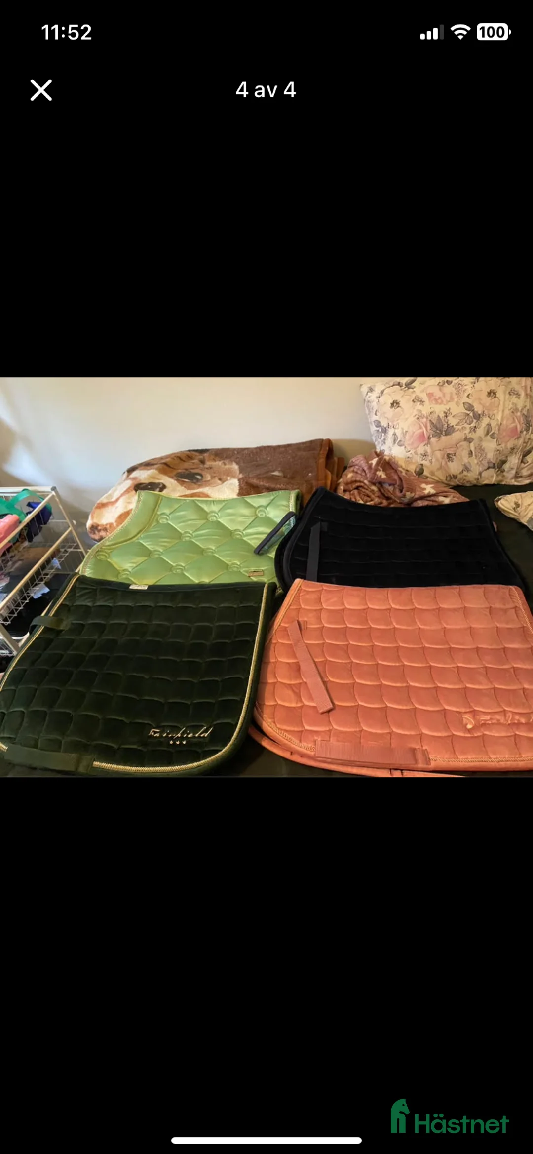 Schabrak & Vojlockar hästutrustning till salu: Schabrak i Eskilstuna - Annons 4